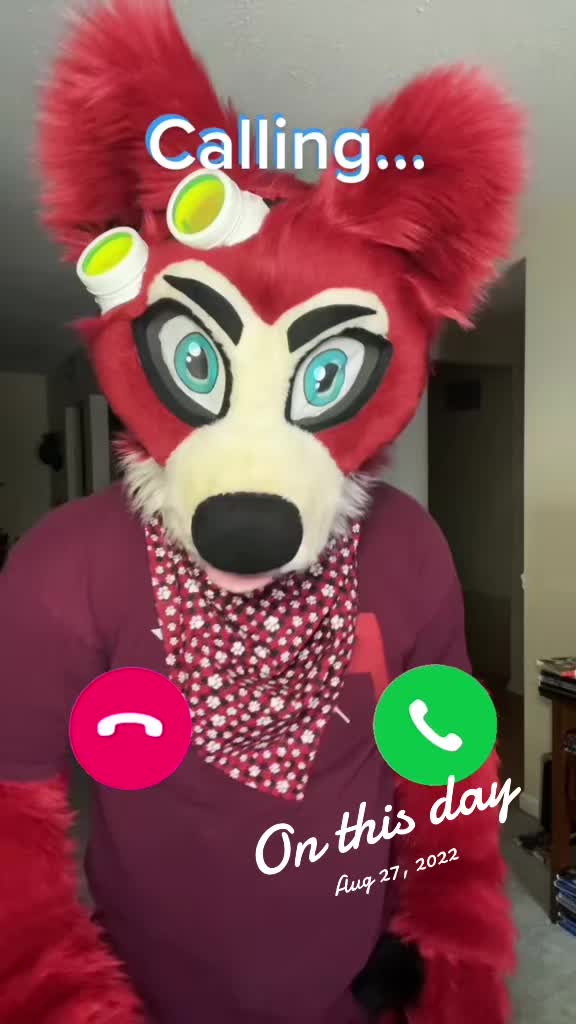 @🦊 Pete The Fox 🦊