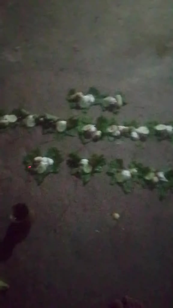 @bharatsah315