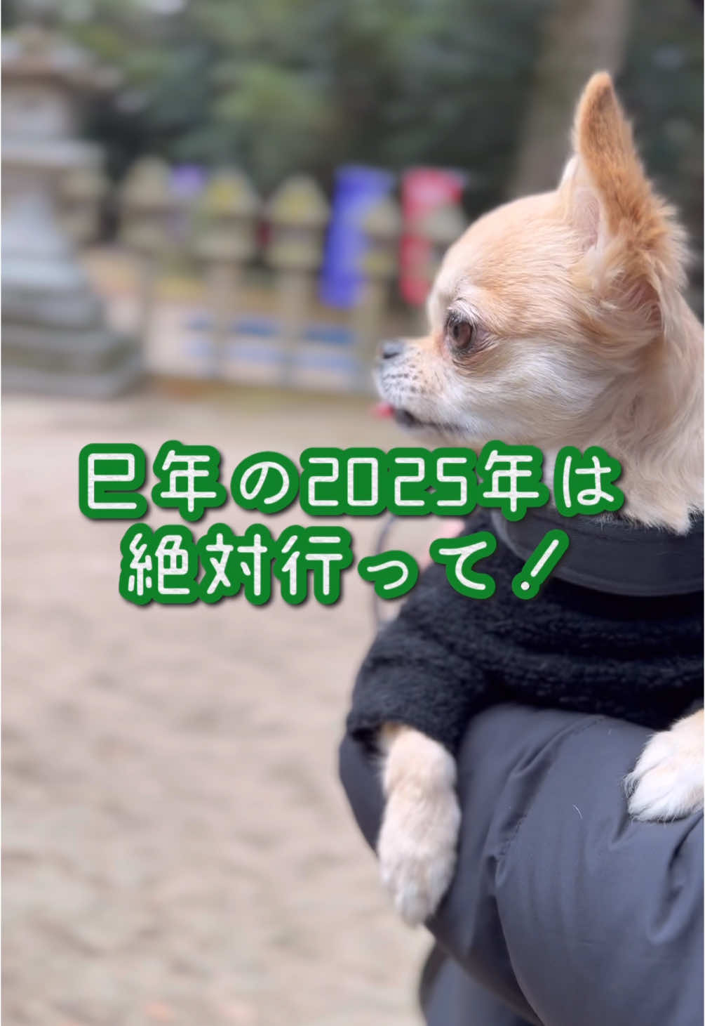 @きなこおぜん