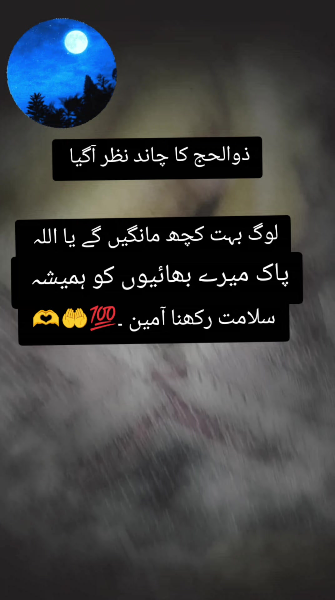 @Arizona Ali198