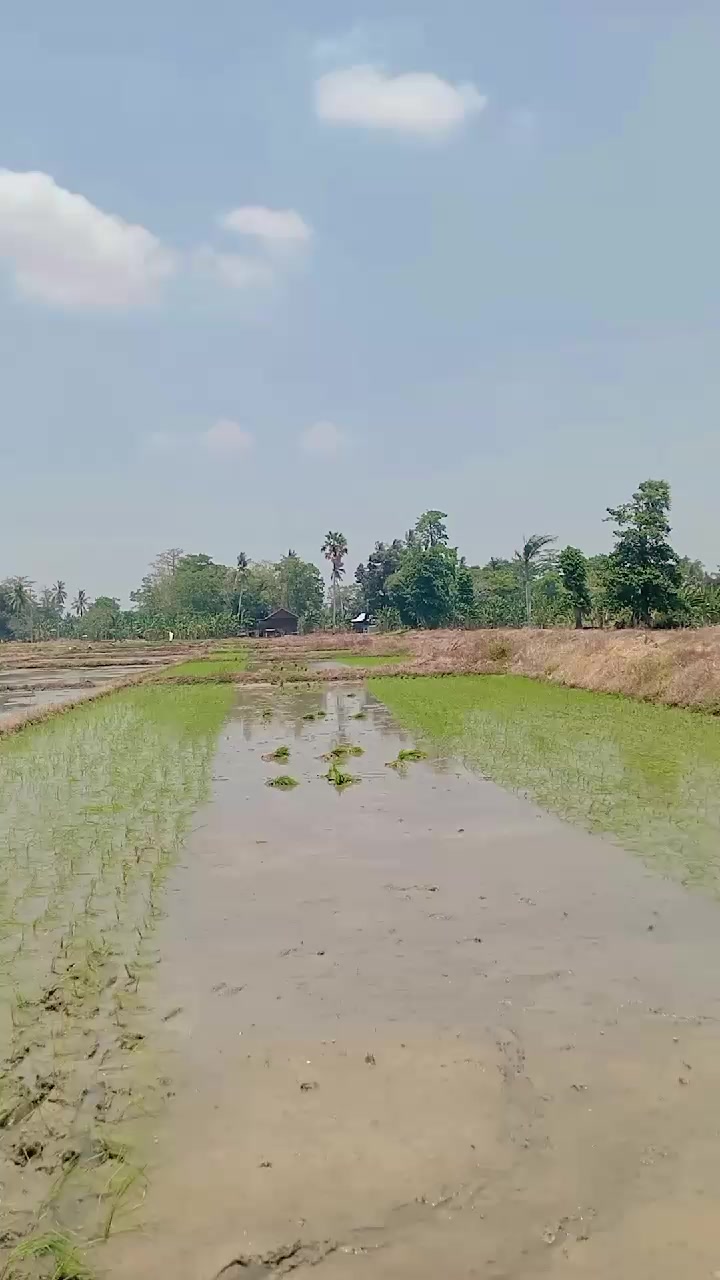 @Sudhy