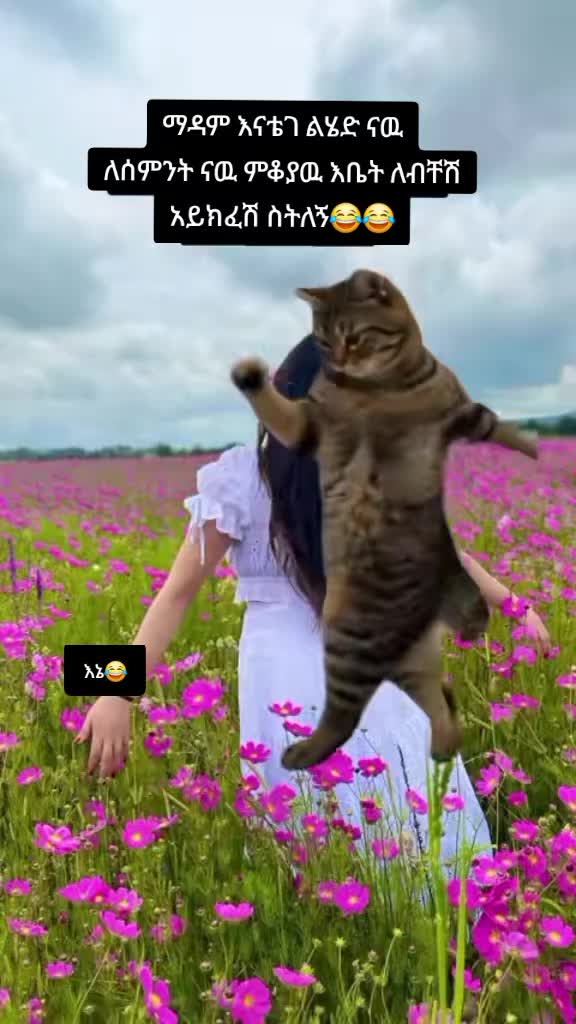 @One deyโ๐ฆ แขแแธ แ แแ
๐โจ๐ซ