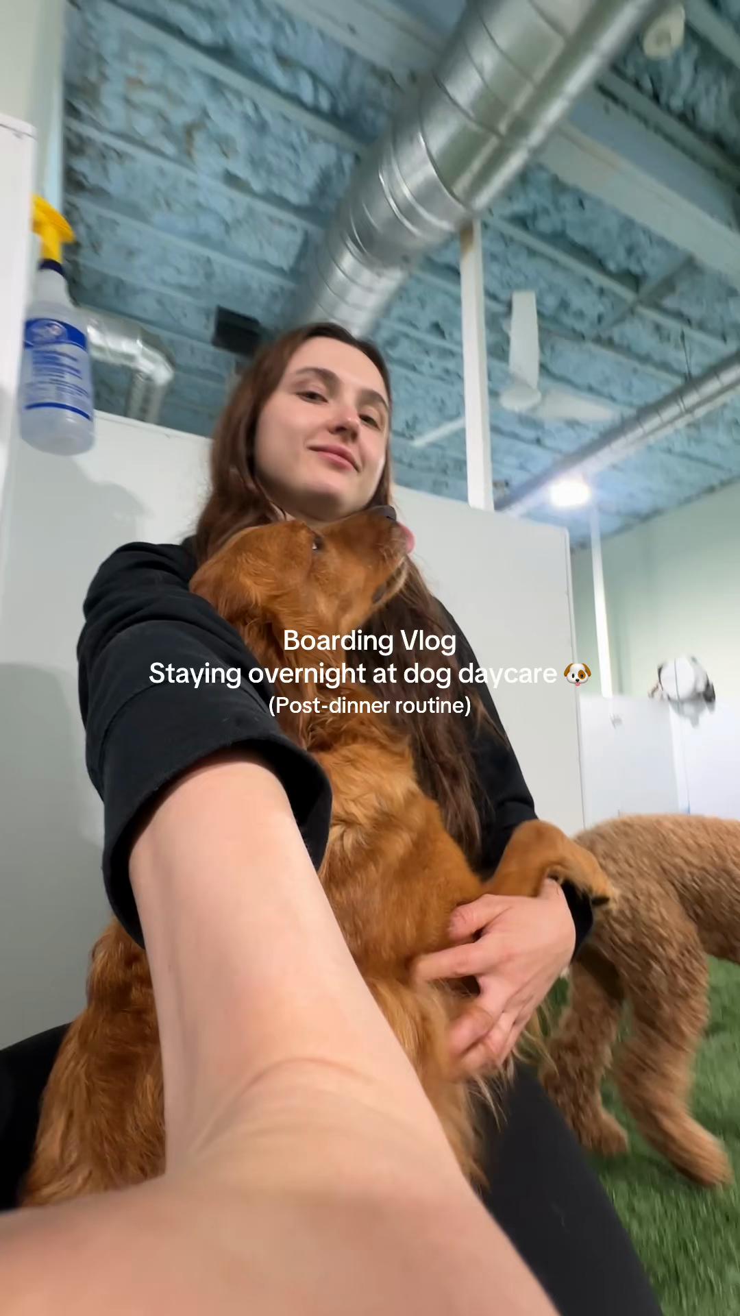 @Camp Canine Toronto