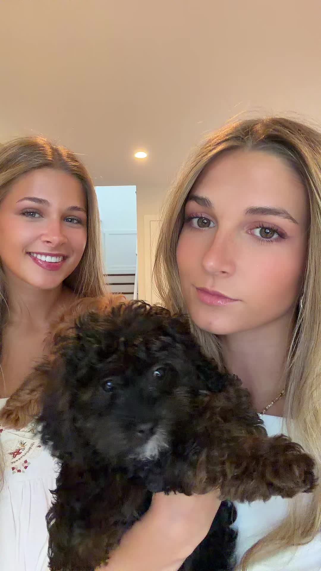 @annim