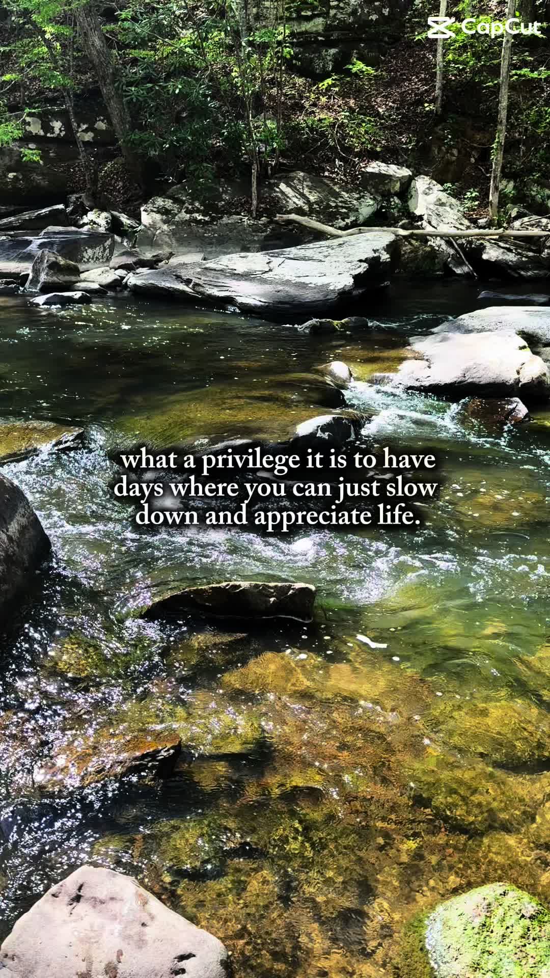 @🌘HippieMomma🌒