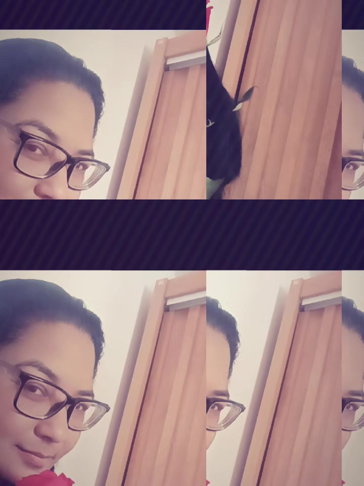 @Meire Souza537