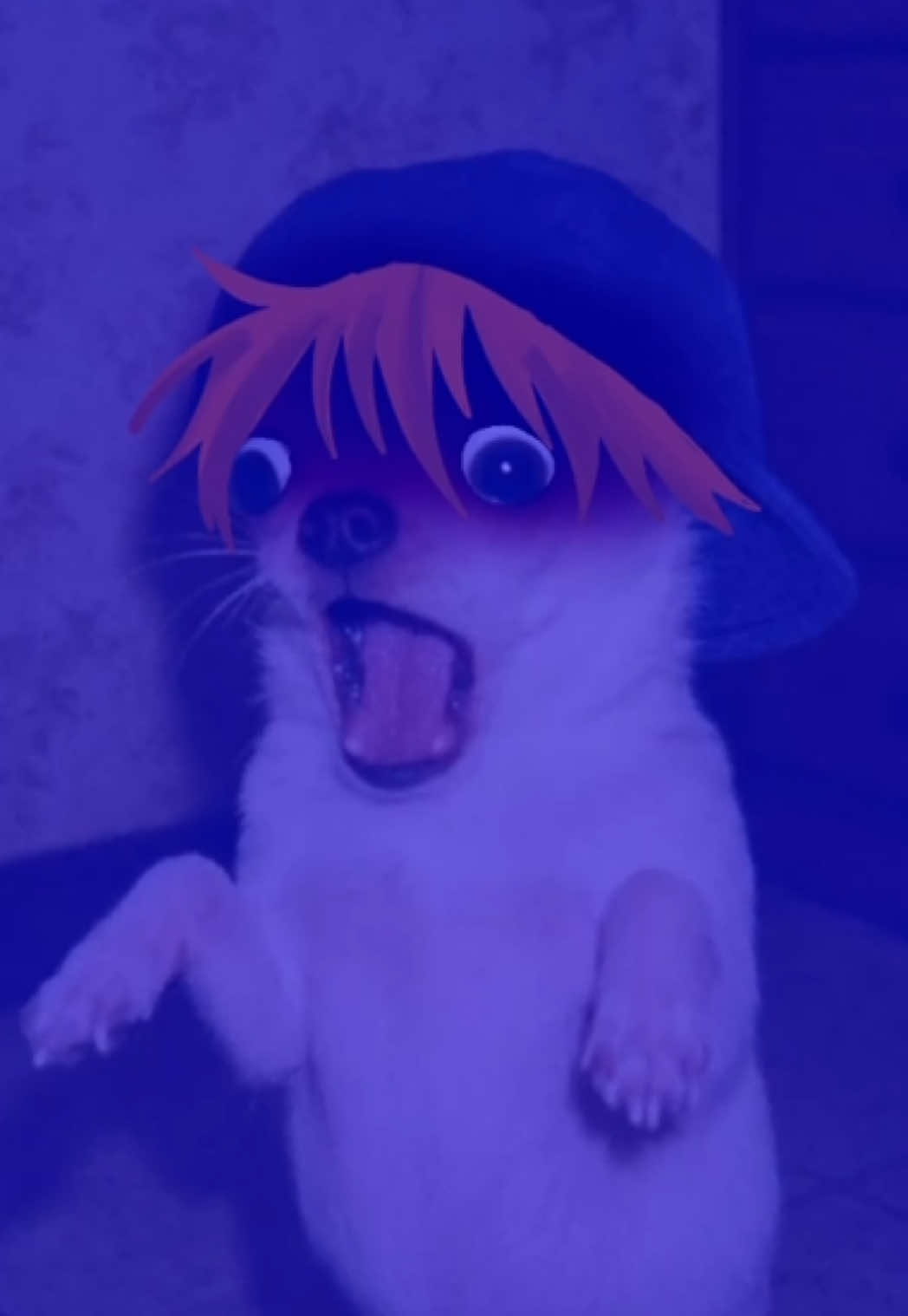 @✰➽☻