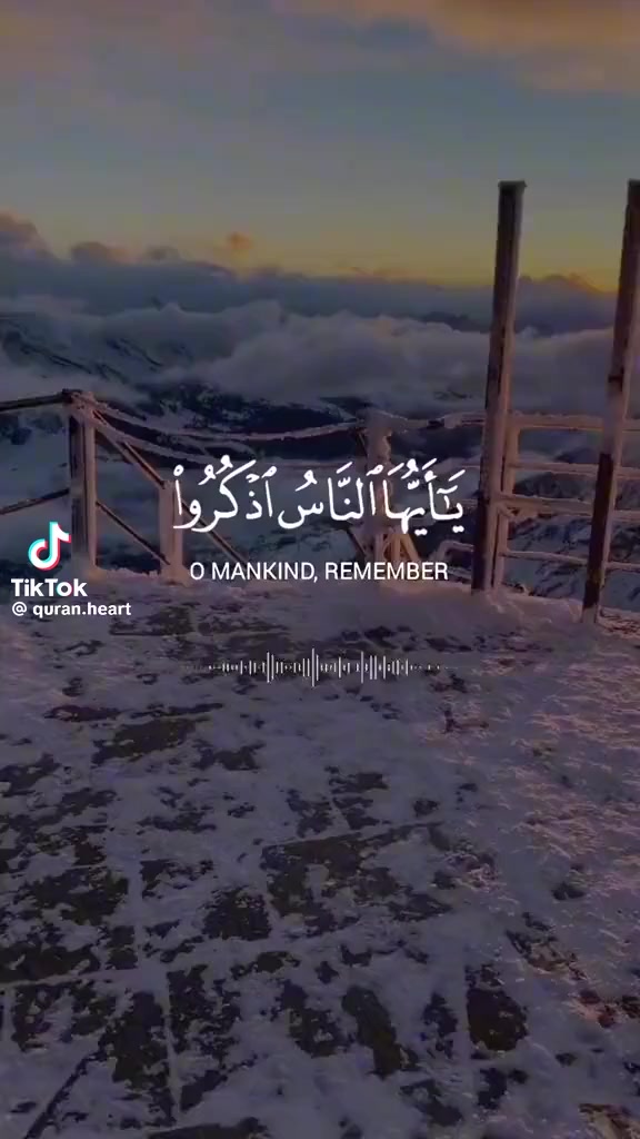 @نوكتك ستريم سنايب