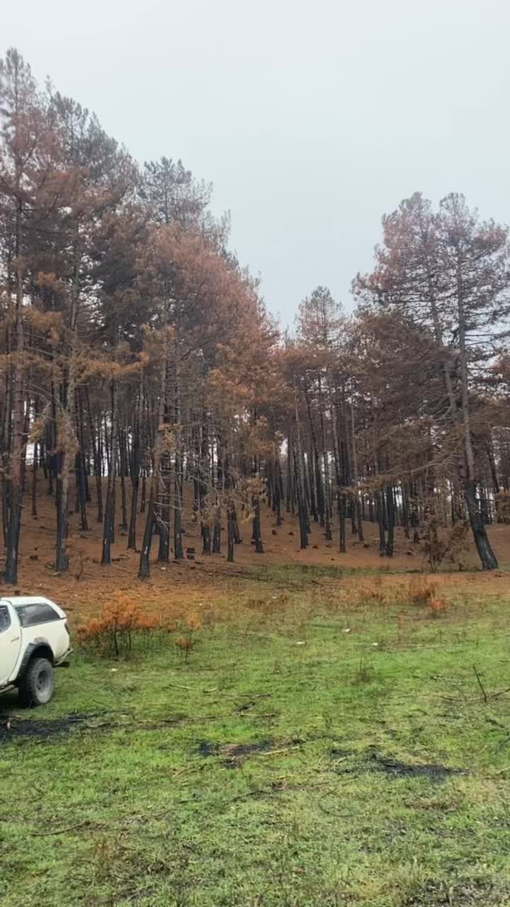 @burak.kf