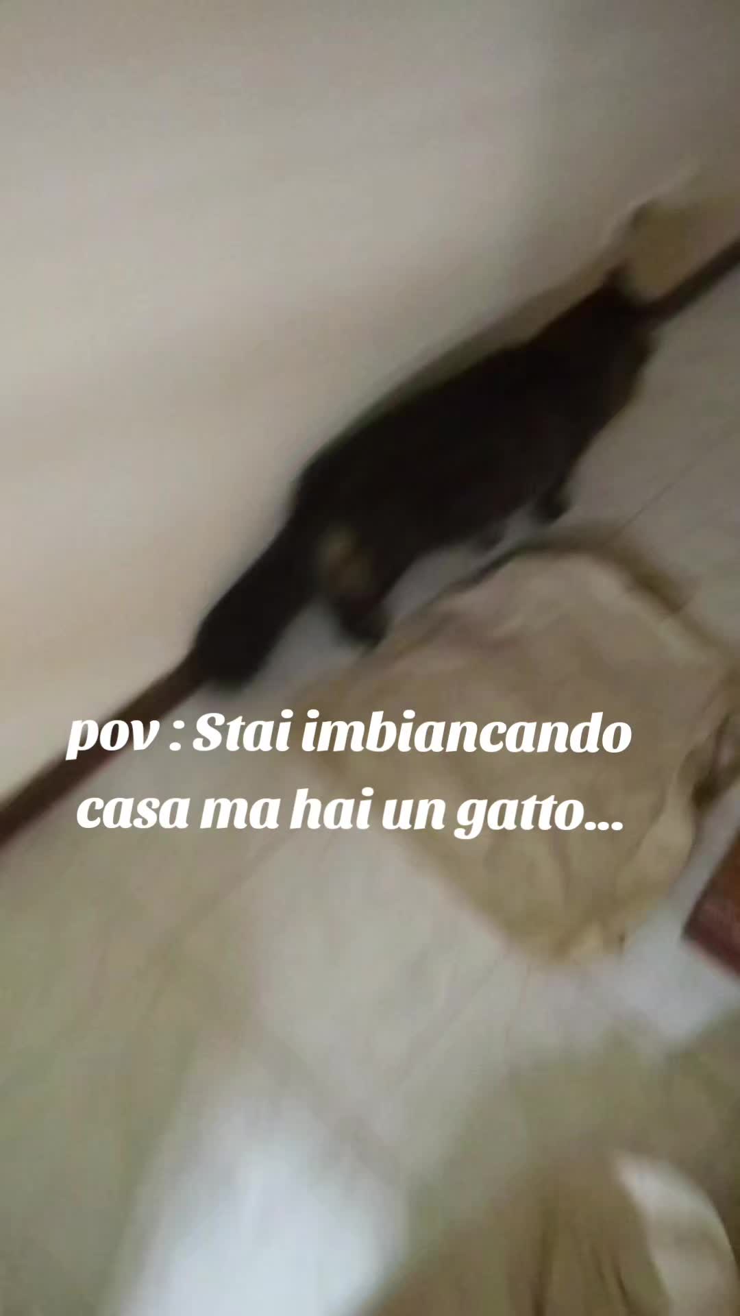 @Mary&Joy🐾❤️
