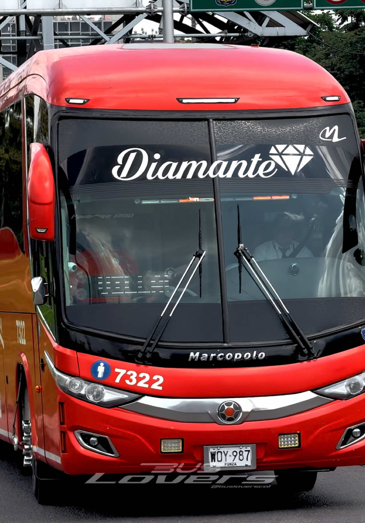 @Bus Lovers