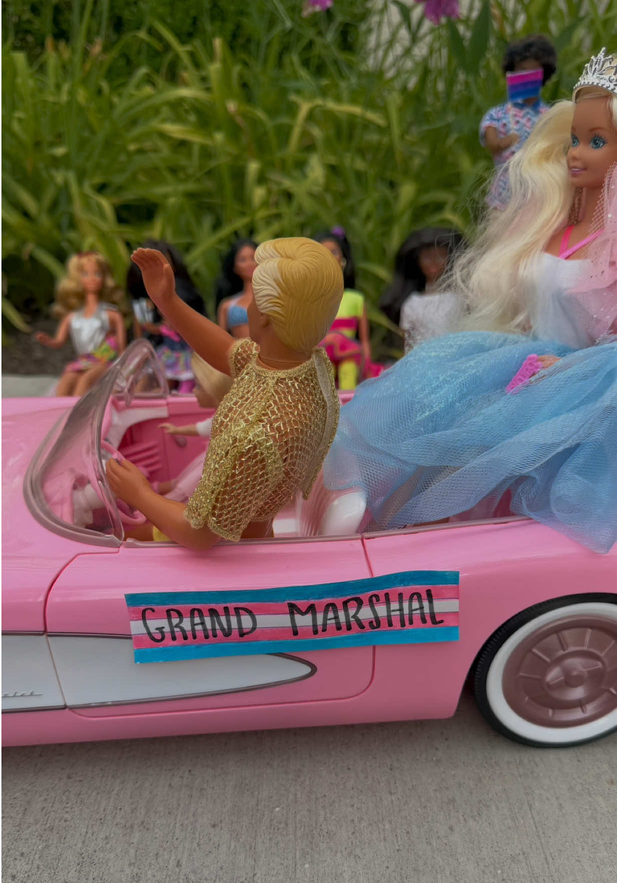 @Barbie in Sunnyville
