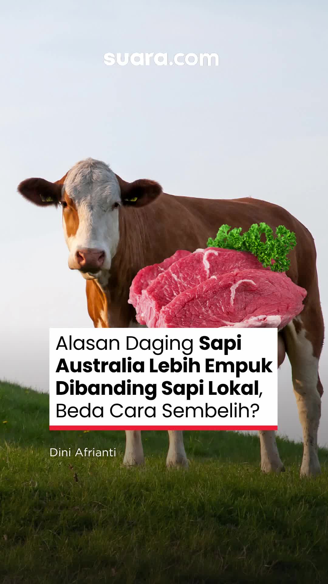 @Suaradotcom