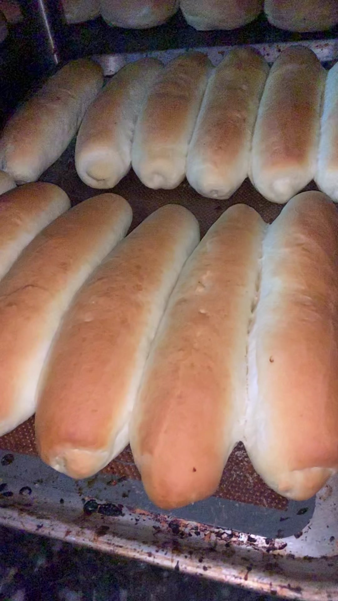 @Apolo's Bakery