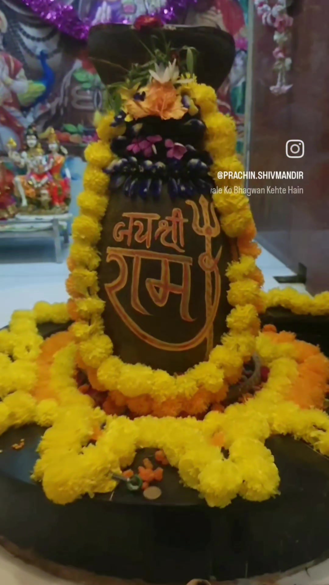 @teji_shahzadpuri
