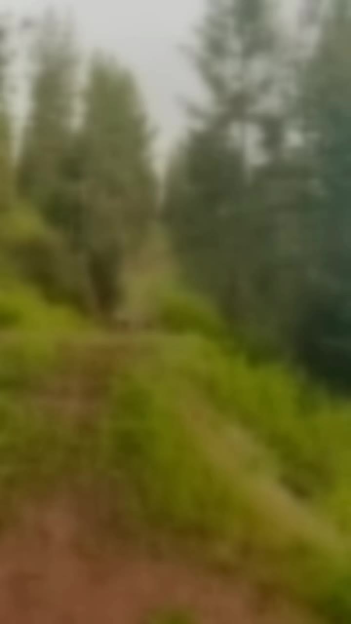 @nguynthhngly6789