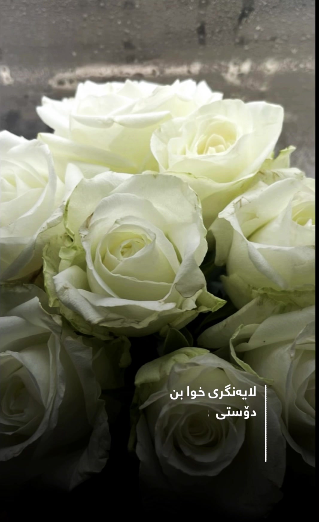 @Lanya Besaran
