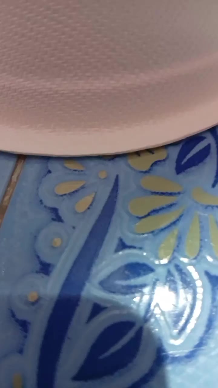 @แมววัดพันปี