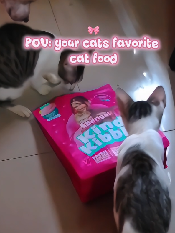 @Faithyyyssss