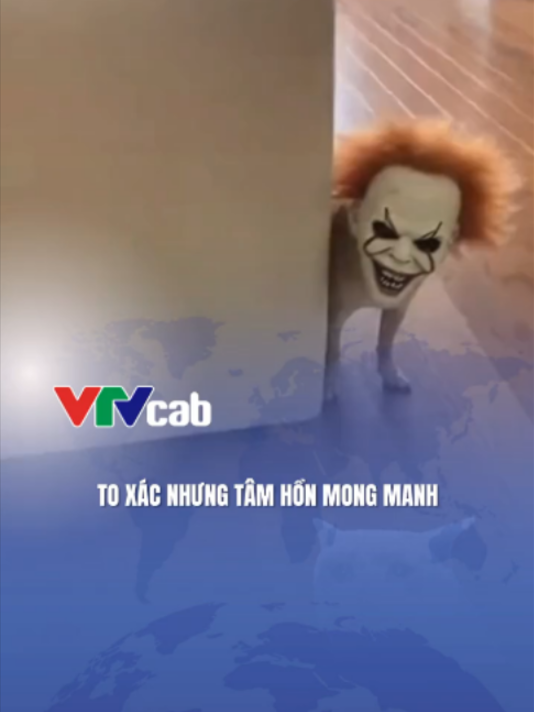 @VTVcab Trending - Giải trí