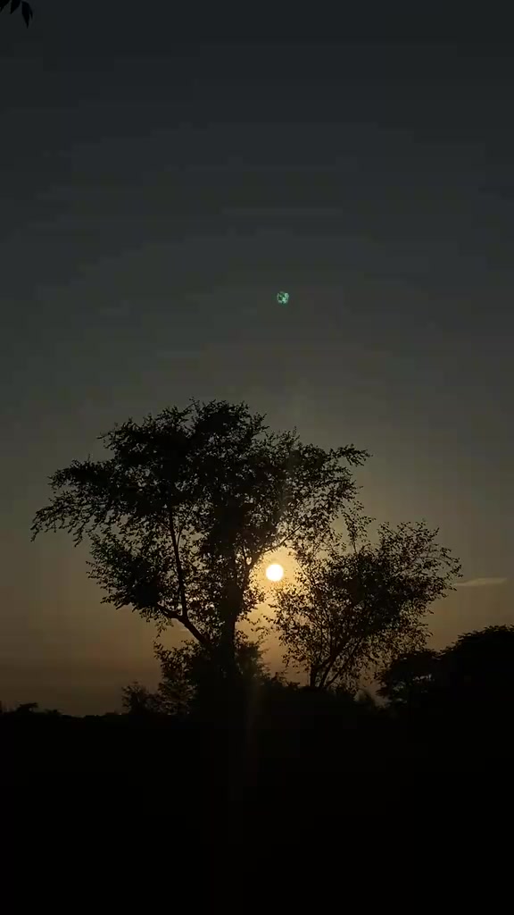 @bharatpasman597