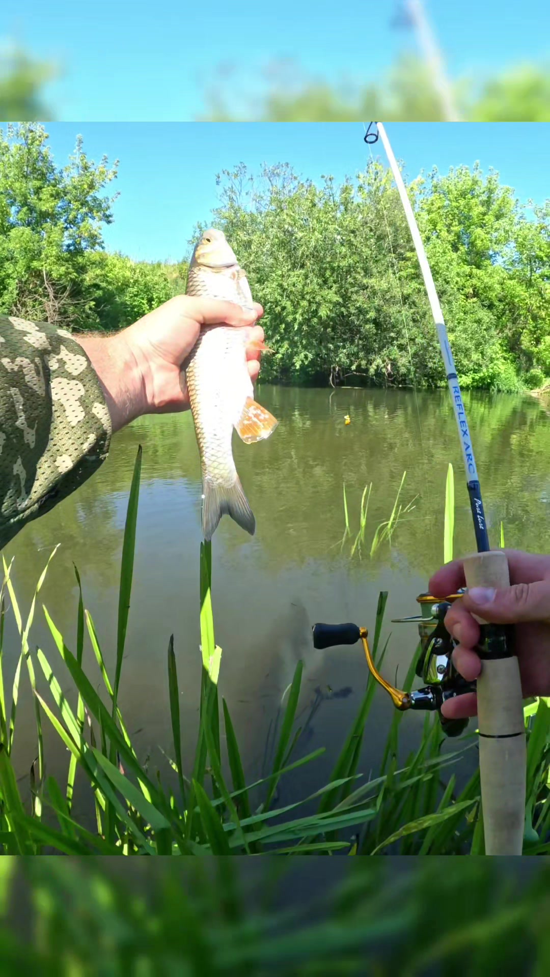 @Колька Рыбак👦🎣