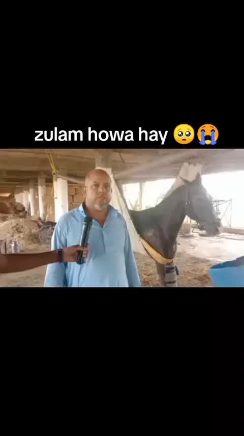 @🐴 گھوڑا شوق 🐴