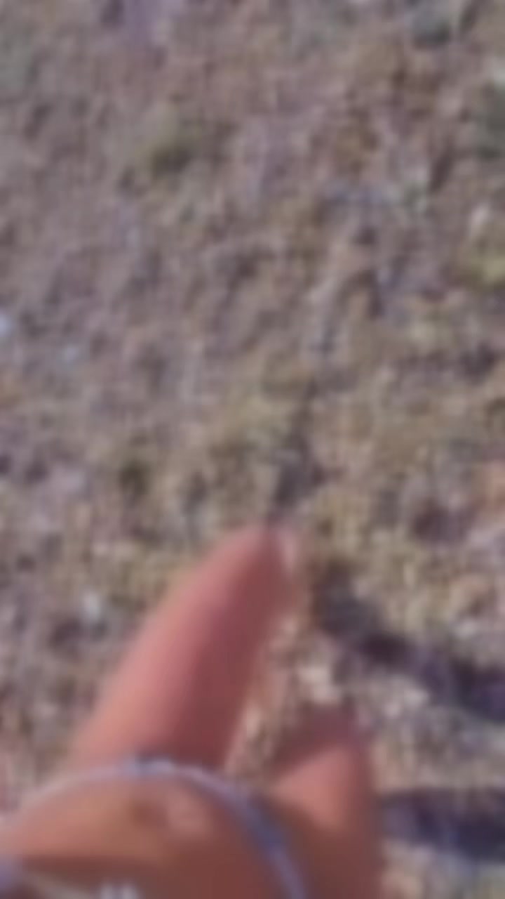 @nghono486