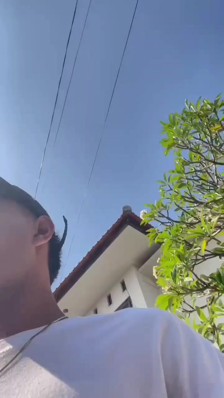 @Dexwiiz