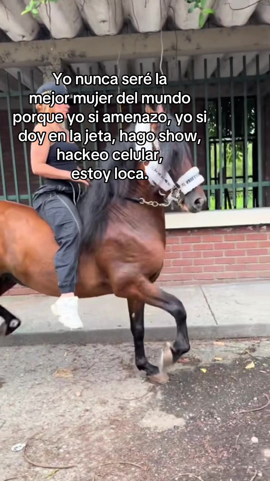 @🐴TATA🐴 🐴PROFESOR DEJM🐴