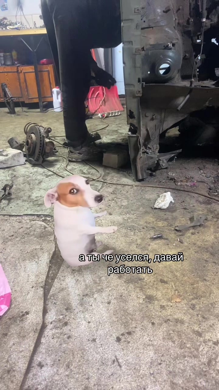 @DAN