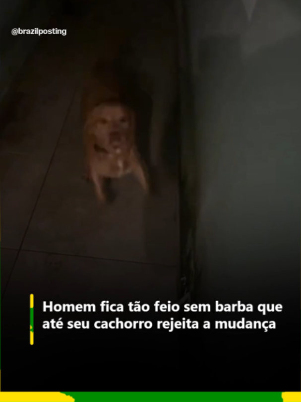 @Brazil Posting
