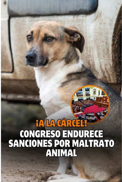 @Trome oficial