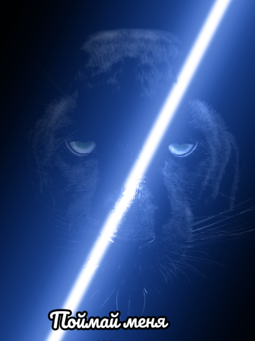 @Panter Black