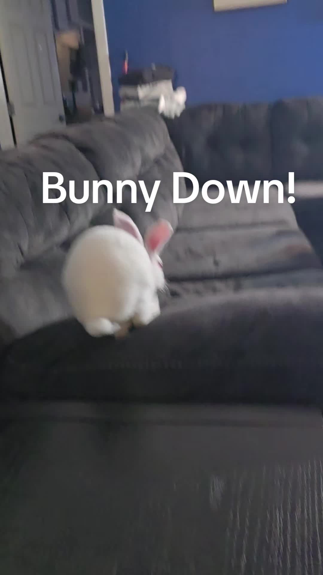 @ShitShowOnTheRoad