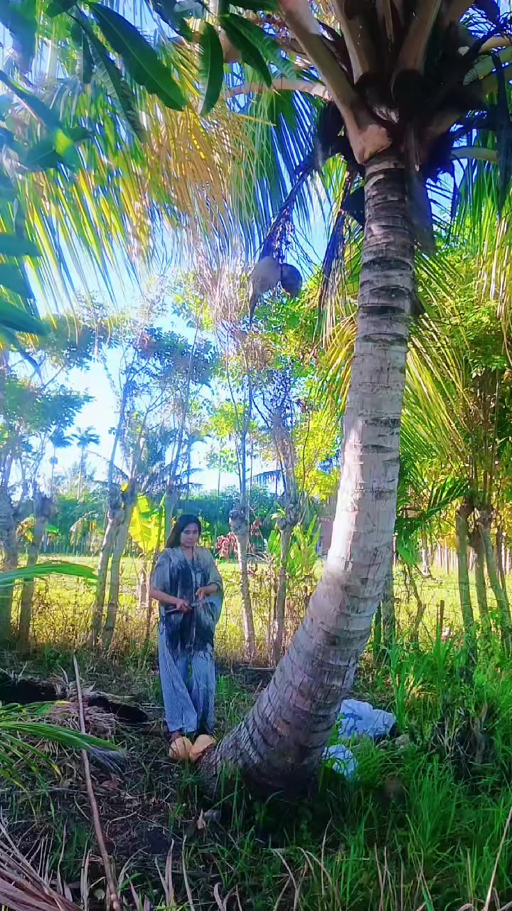 @dian777