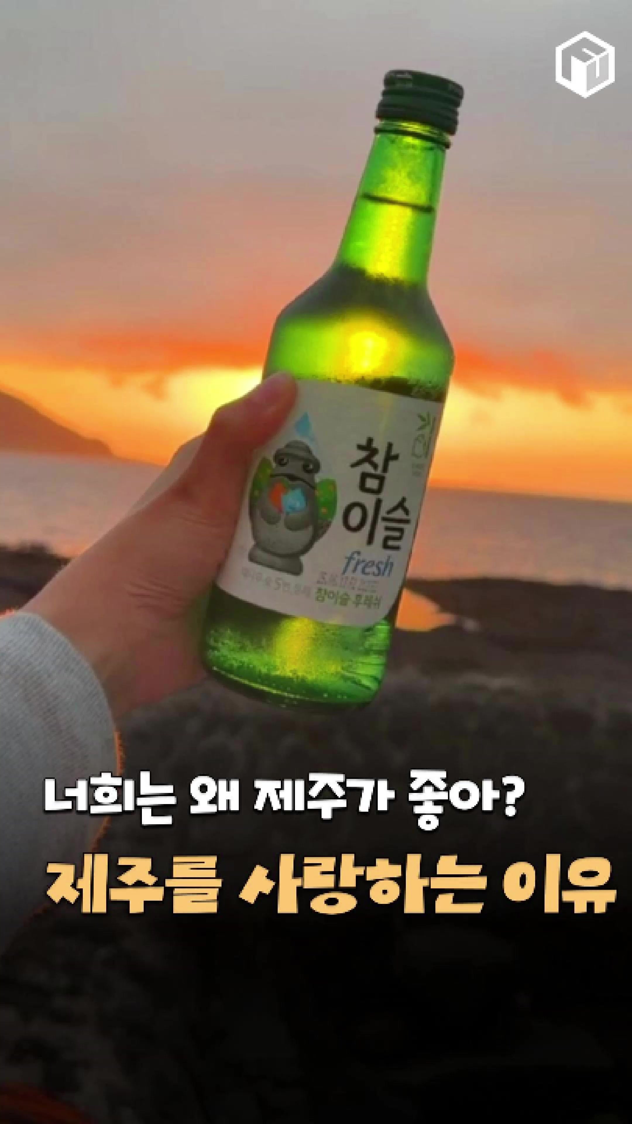 @제주톡톡