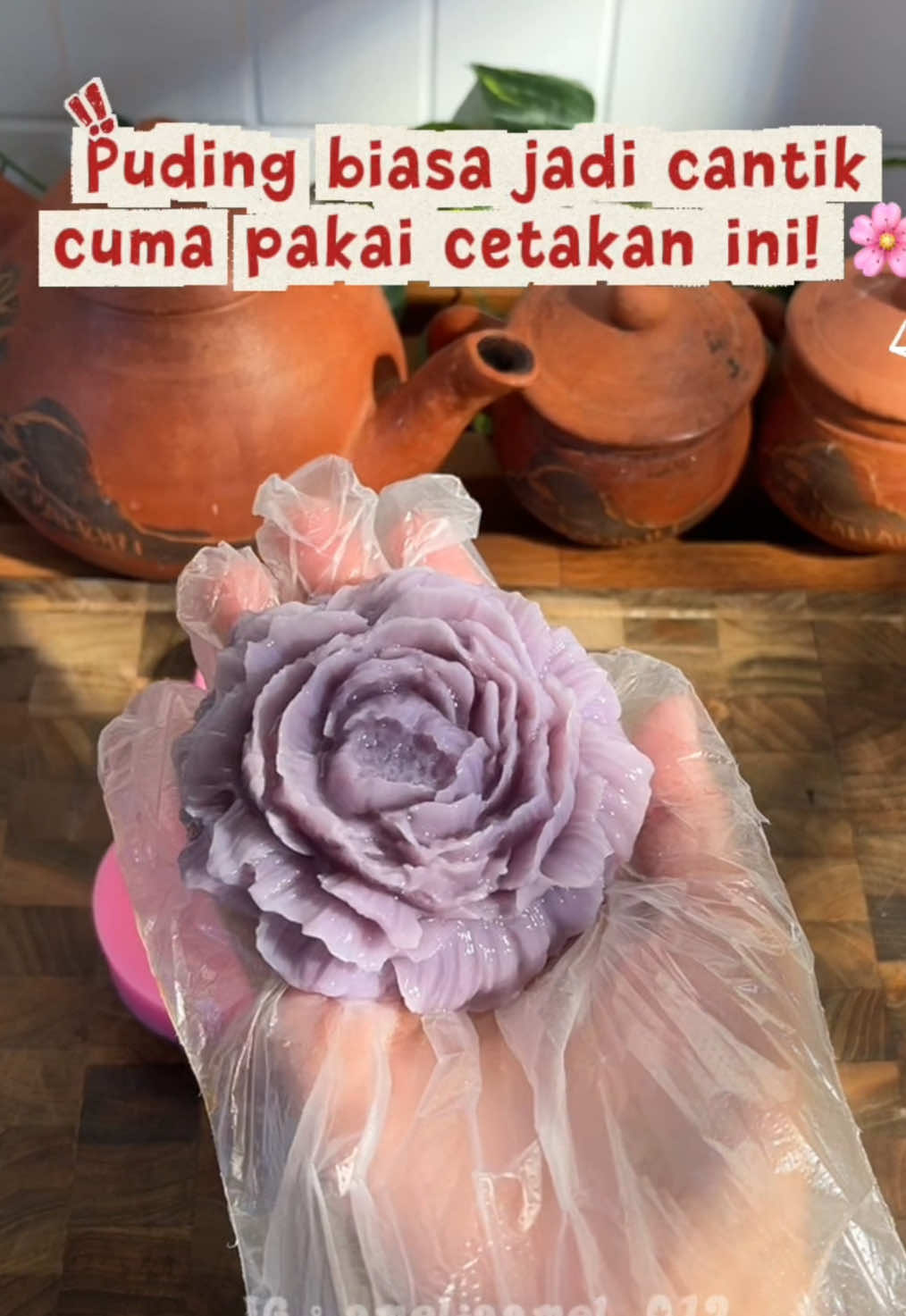 @YT : AMELIA AMEL
