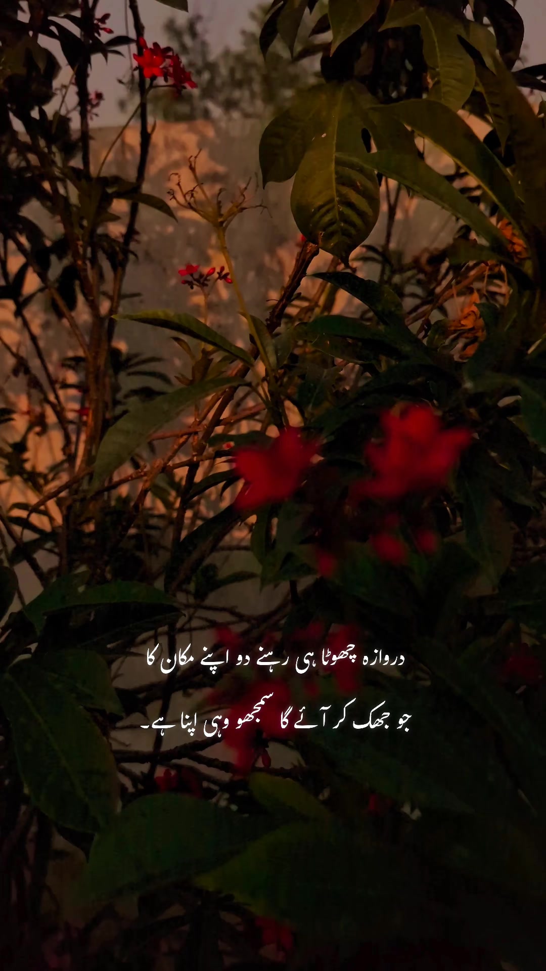 @ــــہہـ٨ــ&hearts;️ـــہہـ٨ـ