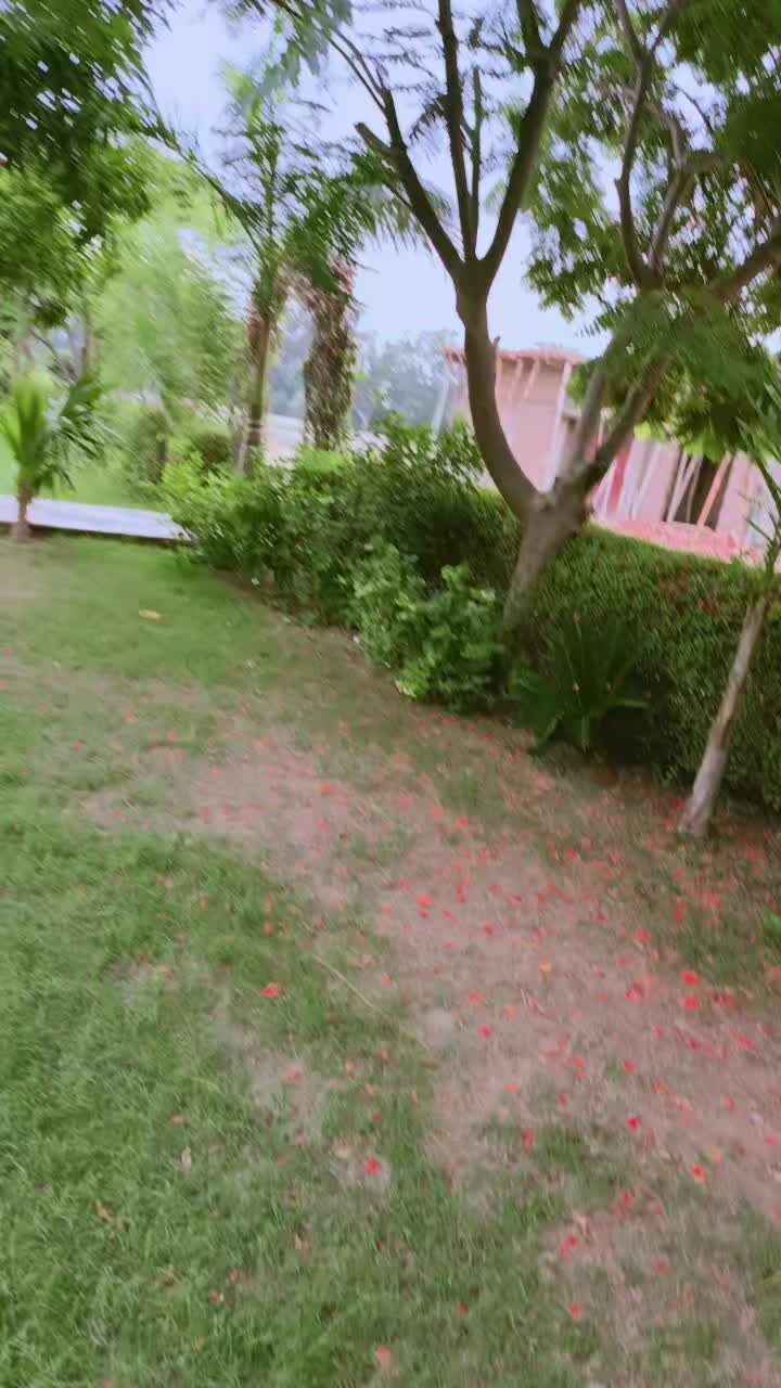 @باغي 🖤