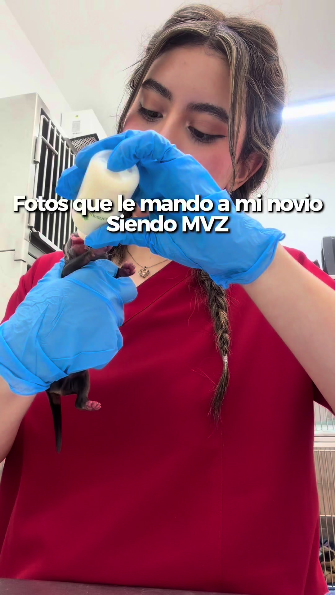 @Angelita