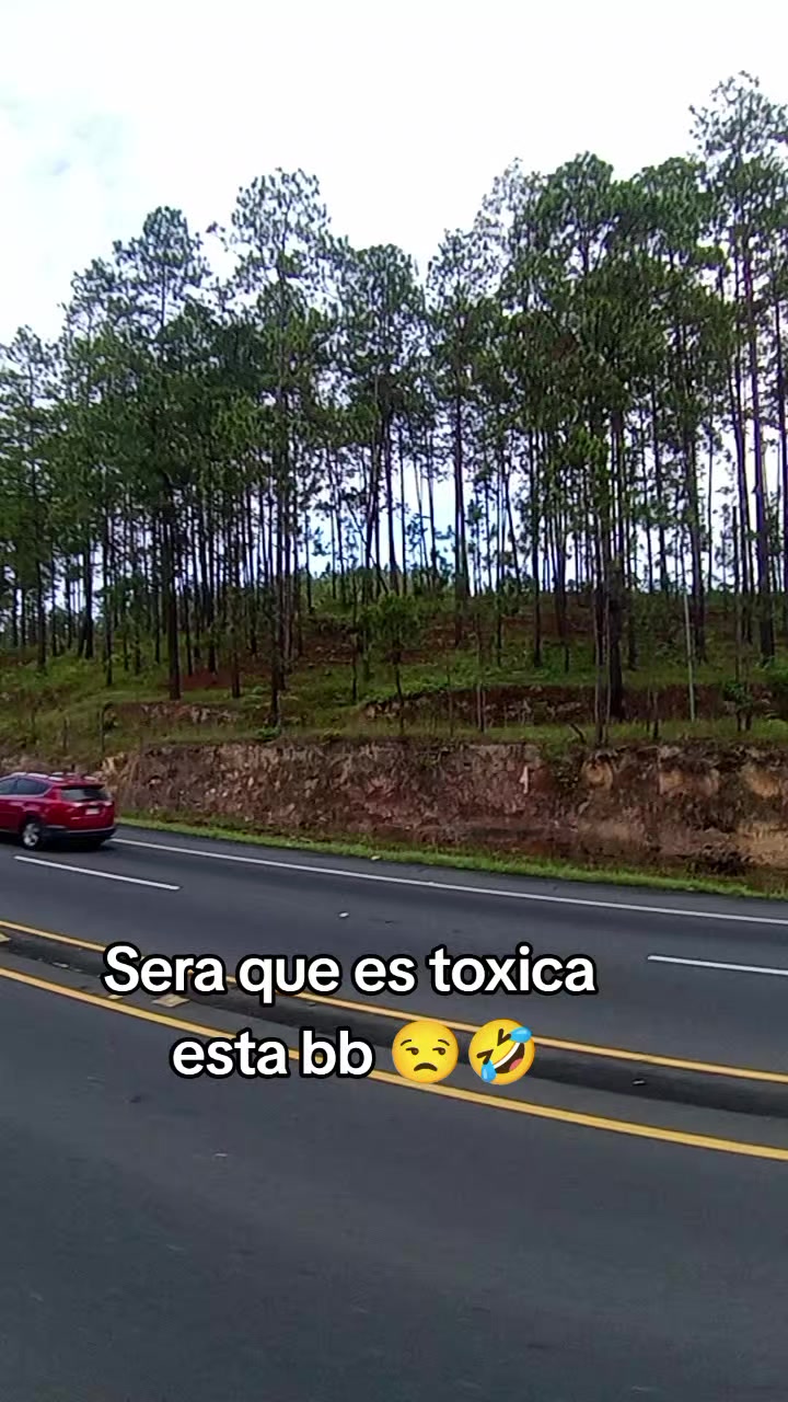 @wil urquia 🧸🍀