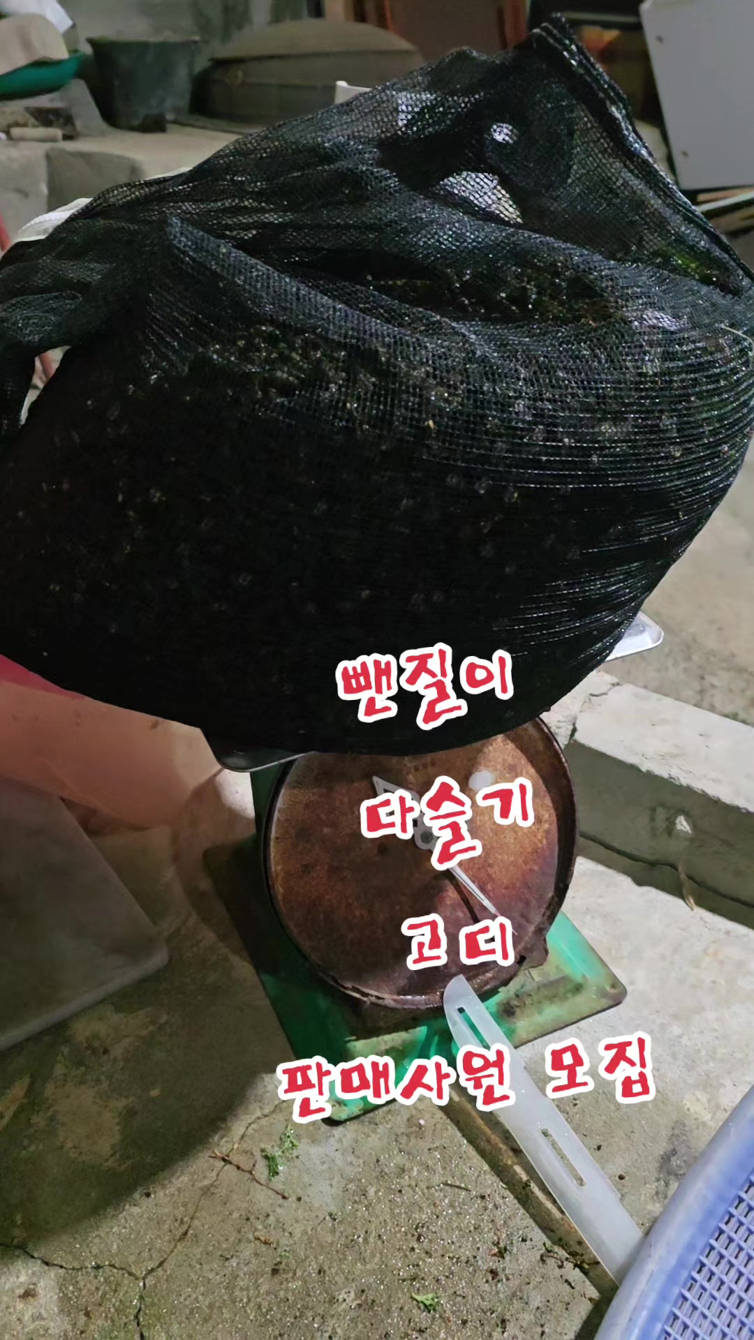 @나는 자연인이다 ~🤪