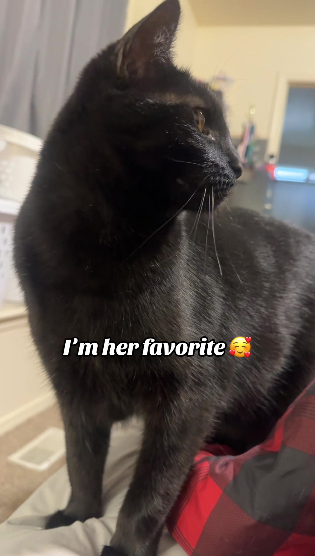 @Bri Jayne