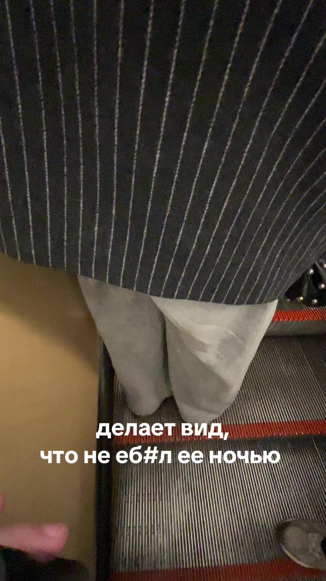 @Birbito400iq