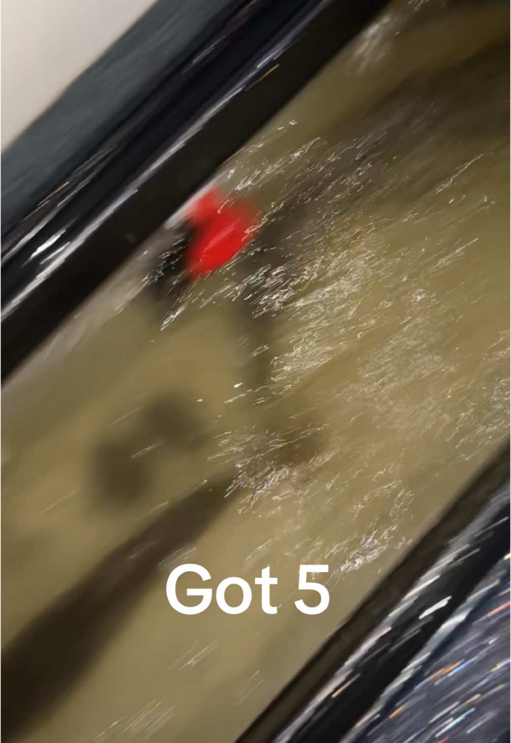 @evan_koerner