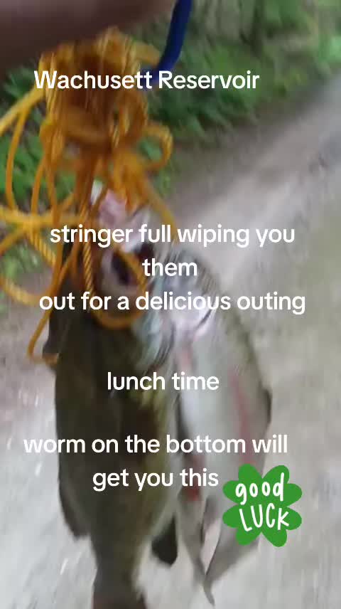 @Carlos Pagan