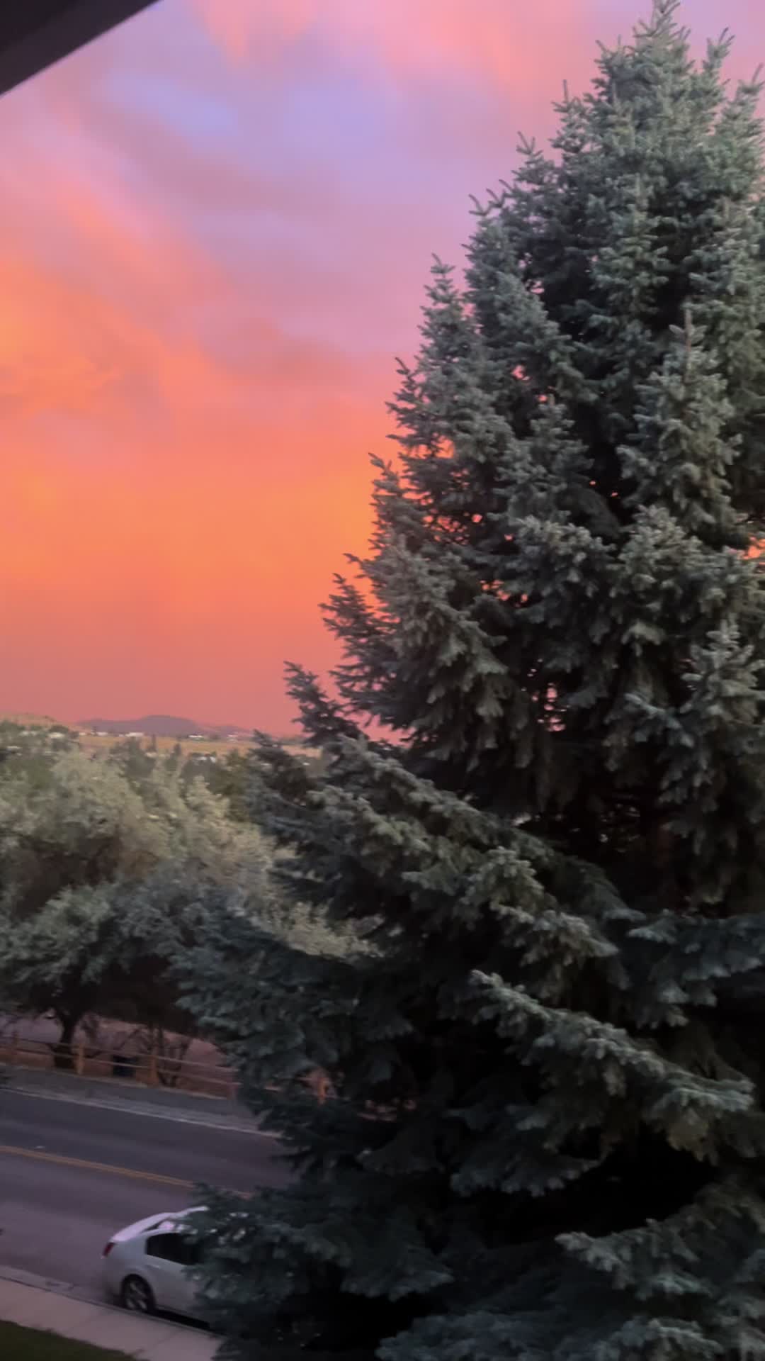 @ritualsforpeace