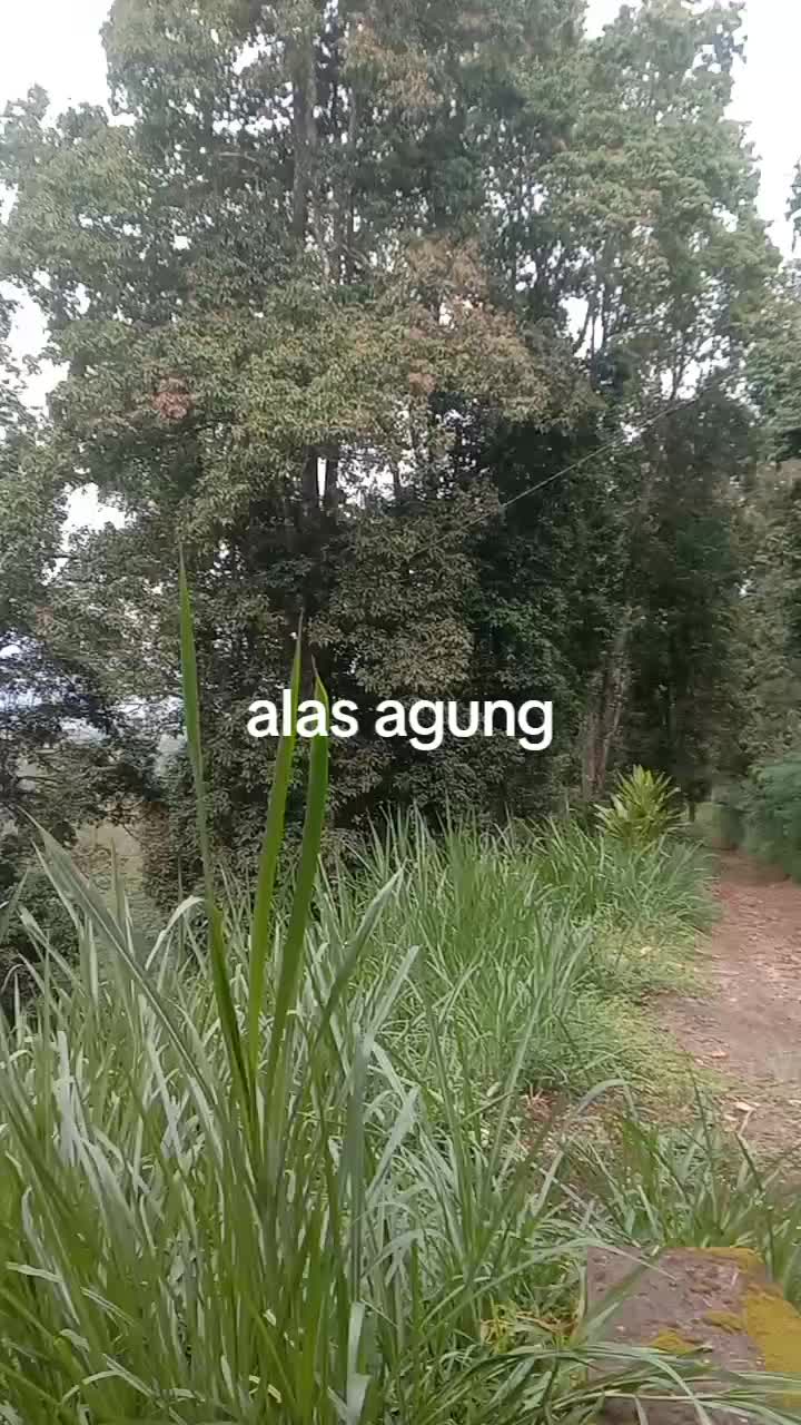 @Gusti Guniati