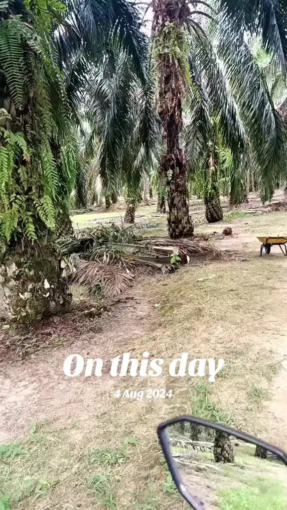 @murugan 86